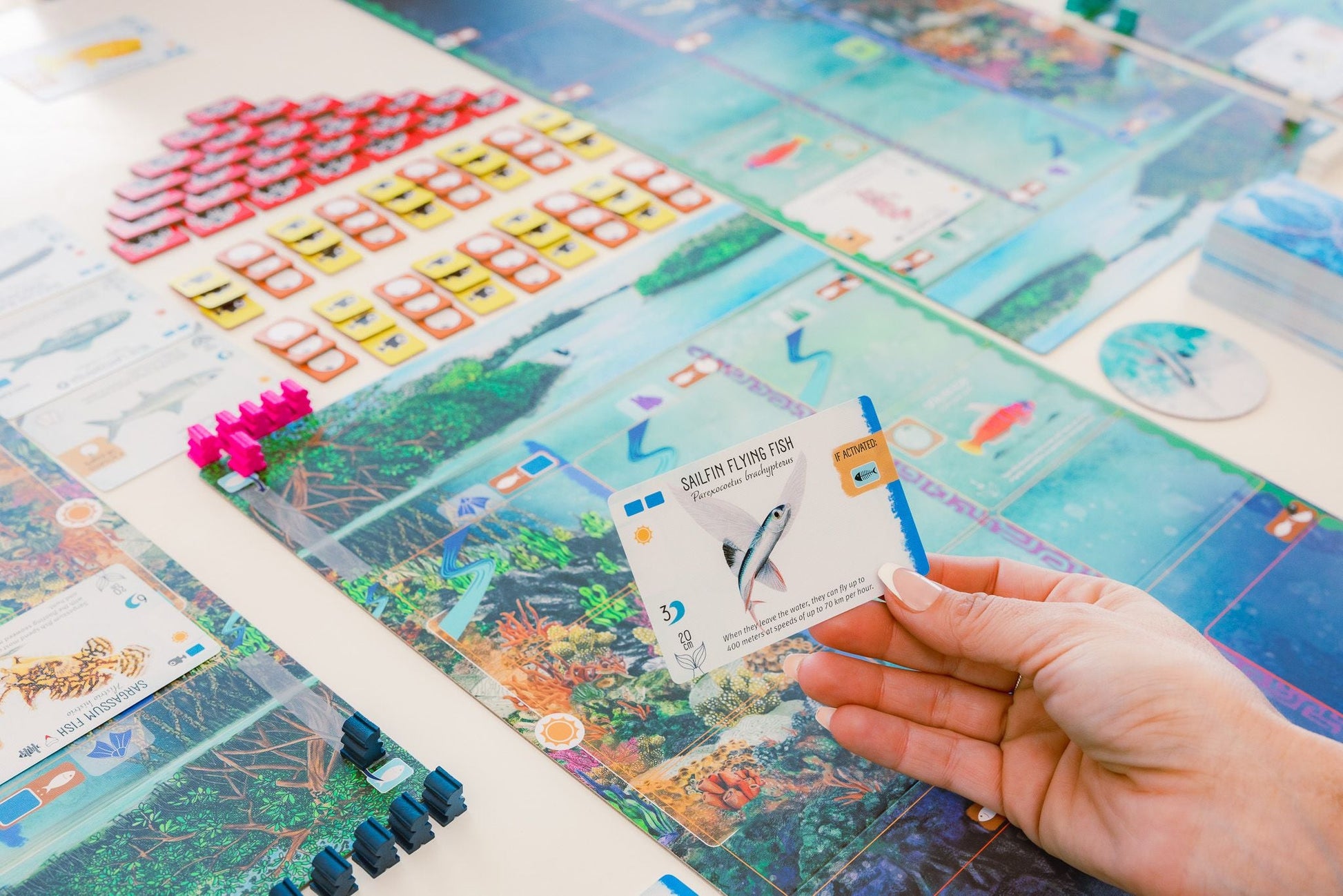 A hand displays a Finspan card over a vibrant game setup, inviting players to explore ocean zones and discover marine life with cards, tiles, and pieces. Finspan is an aquatic-themed board game from Stonemaier Games.