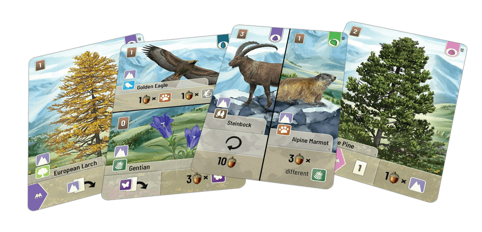 The Forest Shuffle: Alpine Expansion by Lookout Games features four illustrated playing cards—European Larch, Golden Eagle, Steinbock with Alpine Marmot, and Pine—bringing unique alpine plants and animals to your forest card game.