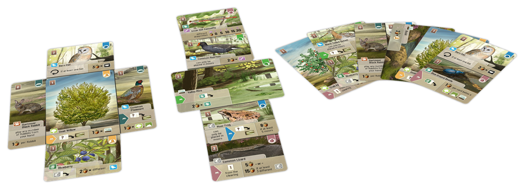 A selection of illustrated playing cards from Lookout Games’ Forest Shuffle: Dartmoor, arranged in rows and fanned out on a white background, showcases various birds, trees, and plants like terrain cards.
