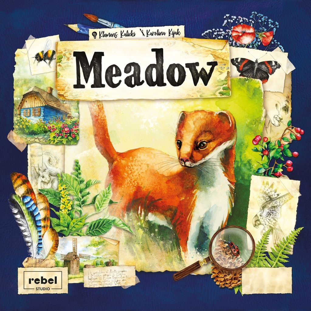 The Meadow board game by Rebel features a cover with a central weasel, surrounded by watercolor illustrations of butterflies, a cabin, feathers, plants, an insect under a magnifying glass, and sketchbook cards in this set collection game.